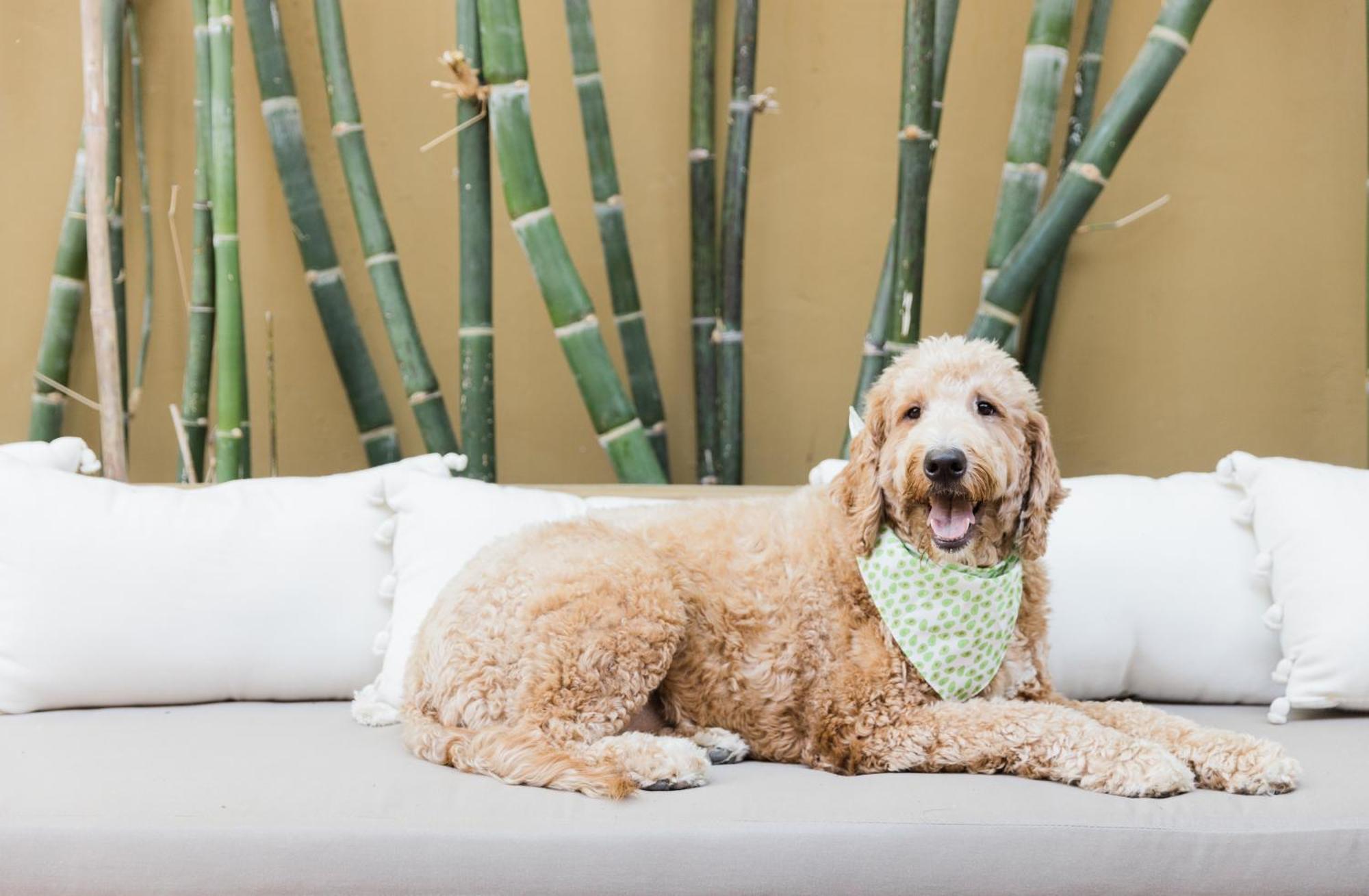 Talavera Palm Springs Zewnętrze zdjęcie